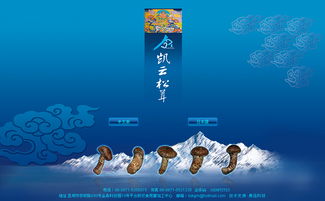 凱云科工貿與奧遠科技 以技術驅動，賦能昆明與云南的數字化轉型